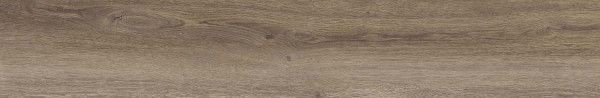 PF60010060 OAK NAT R 20X120 ABK