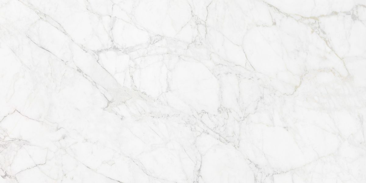 N12045 Carrara Giaola Polished 60x120 Neodom
