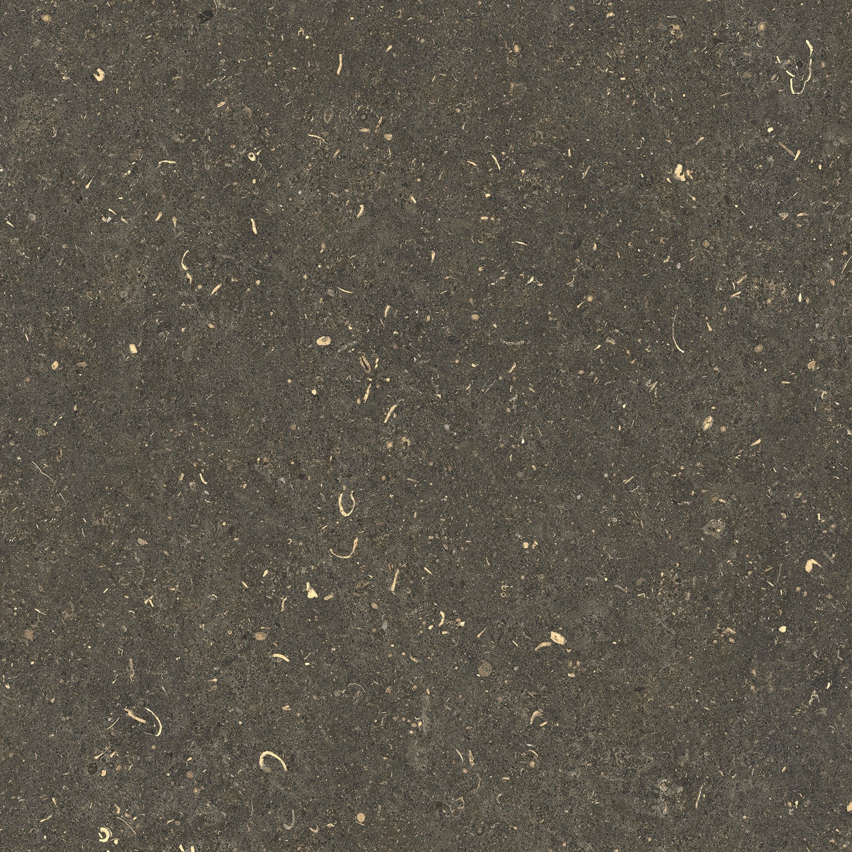 785487 Rinascenza Arena Platino Matte 60x60 Casa Dolce Casa фото 5