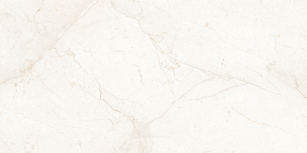 Tirso Hueso 60*120 Geotiles