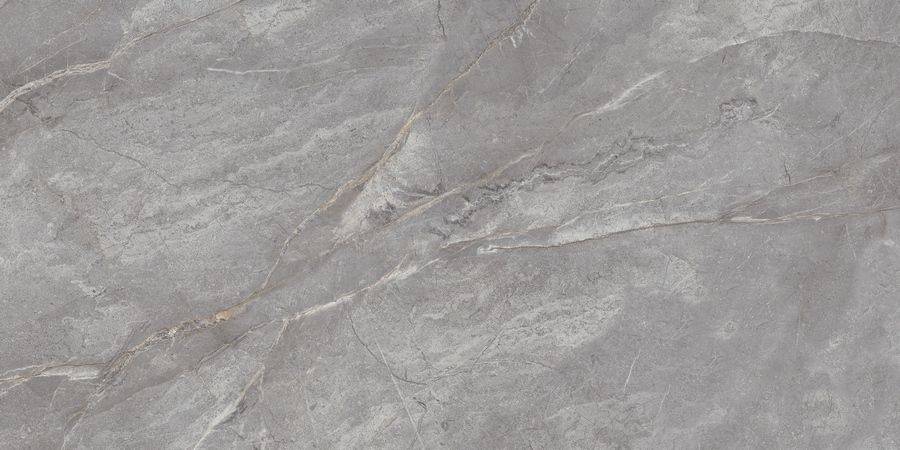 N20484 Orobico Grey Polished 60x120 Neodom