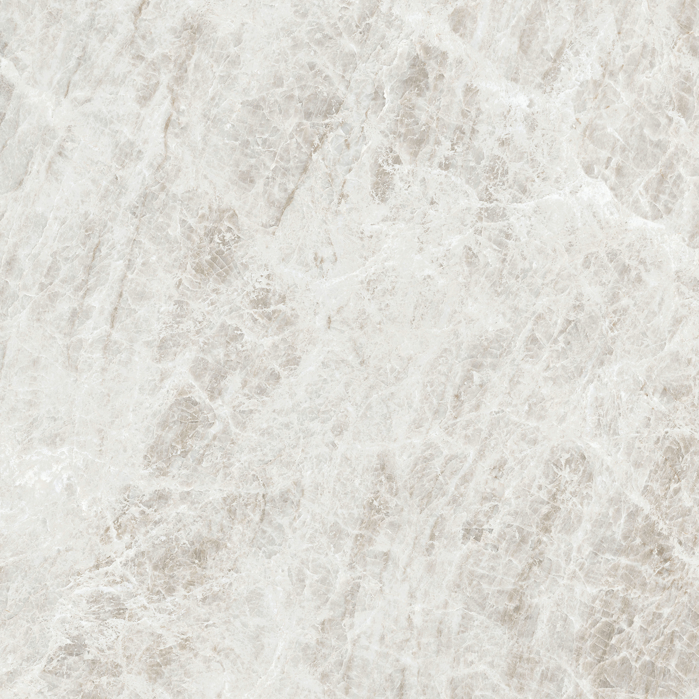 784545 Iconic Life Rice Yamuna Glossy 80x80 Cerim фото 2