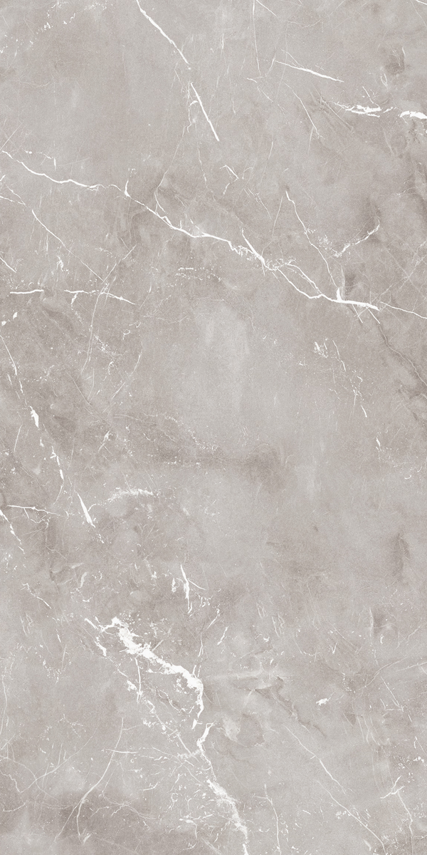 PF60004301 Epoque Grey Lap 60X120 Ariana