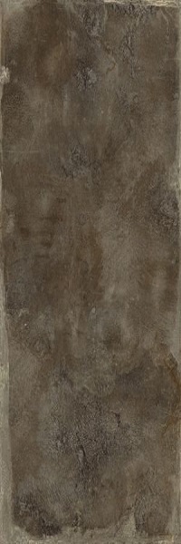 UMT6S310500 Metal Brown Zinc Soft 6mm 100x300 Ariostea