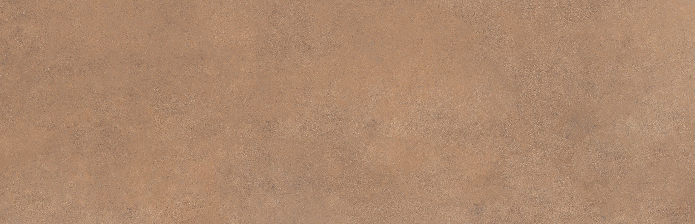 Mediterranea Coral R 31,5x100 Undefasa