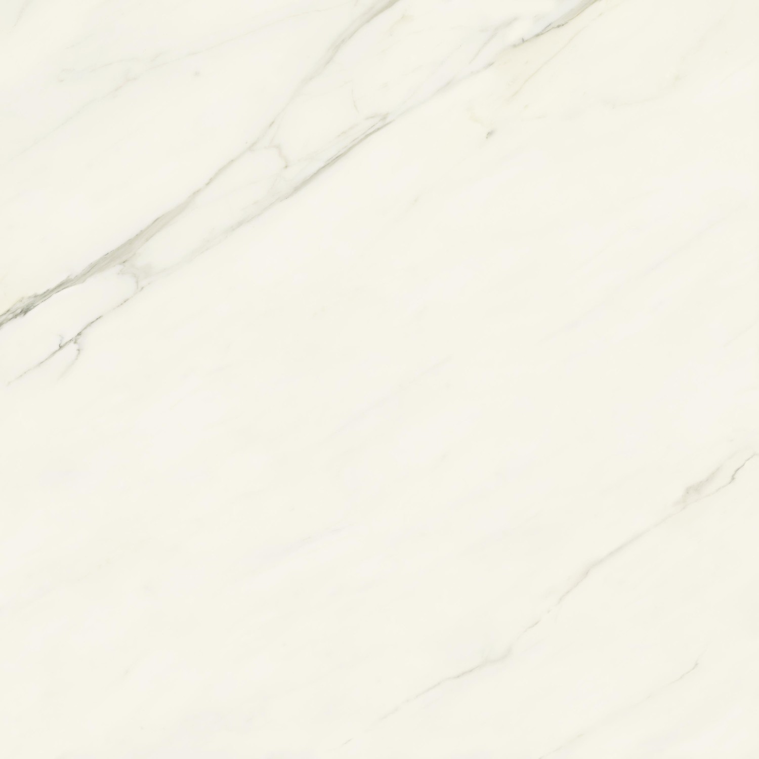 AJII Marvel Meraviglia Calacatta Meraviglia Velvet 120x120 Atlas Concorde