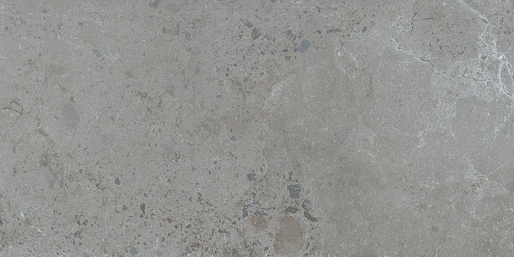188999 Pietra Viva Grey 60x120 Dune