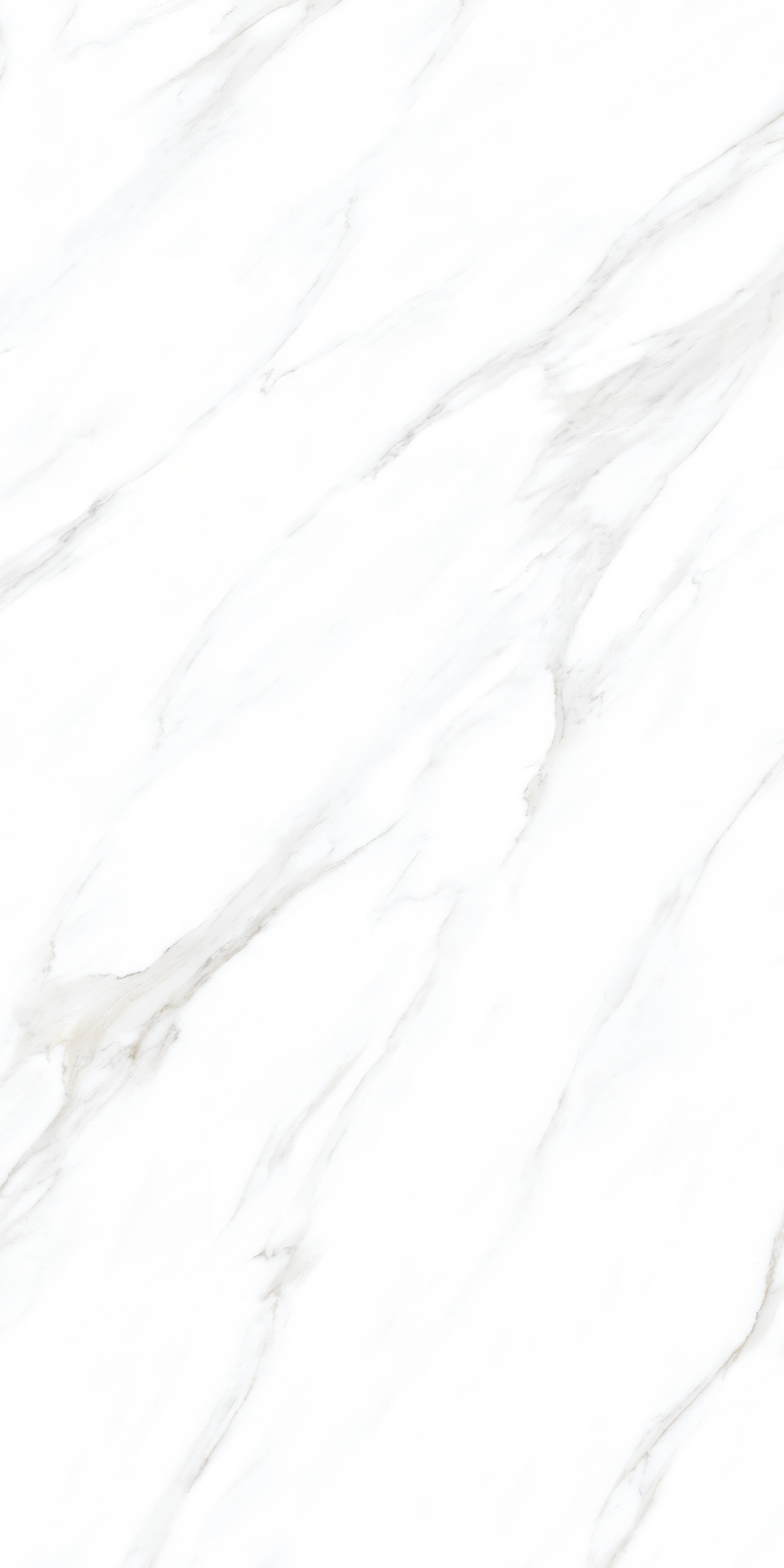 Antic White carving 60x120 Realistik