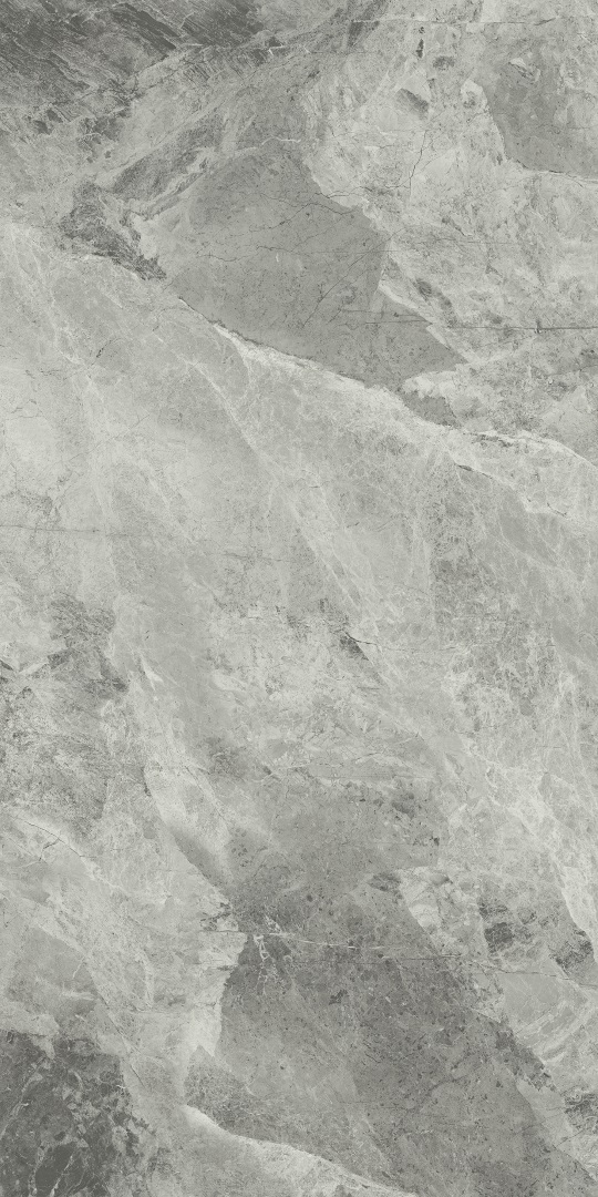 610010001689 Charme Extra Silver Nat Ret 80x160 Italon