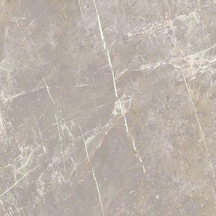 766956 Elemental Grey Dolomia Luc Ret 60x60 Cerim