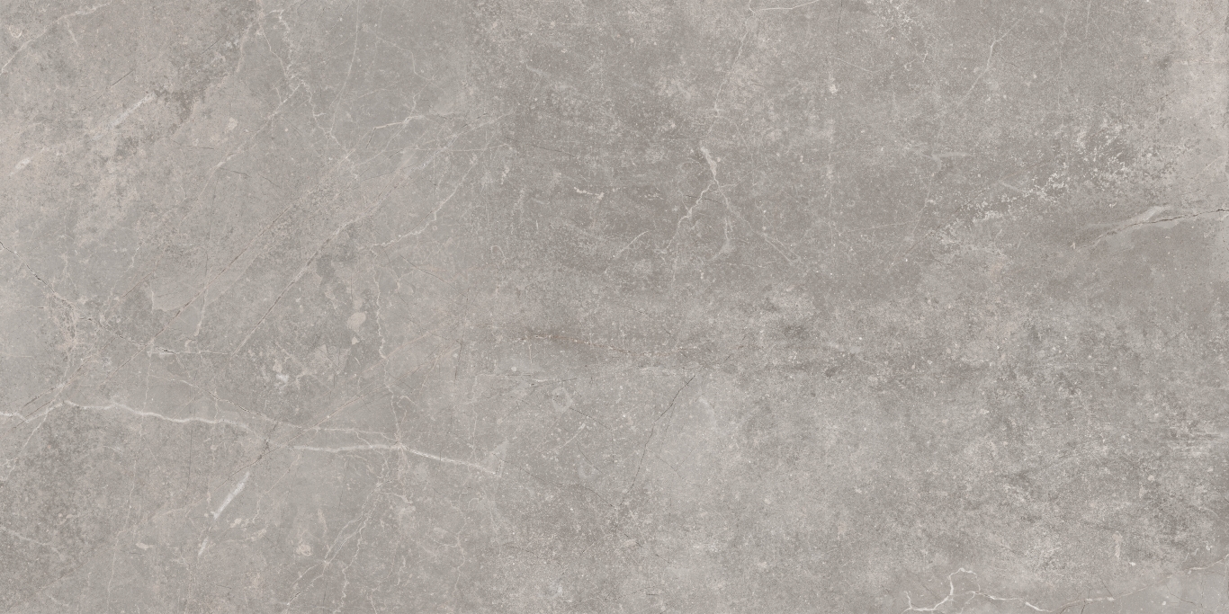 Concept Gray 60x120 Baldocer