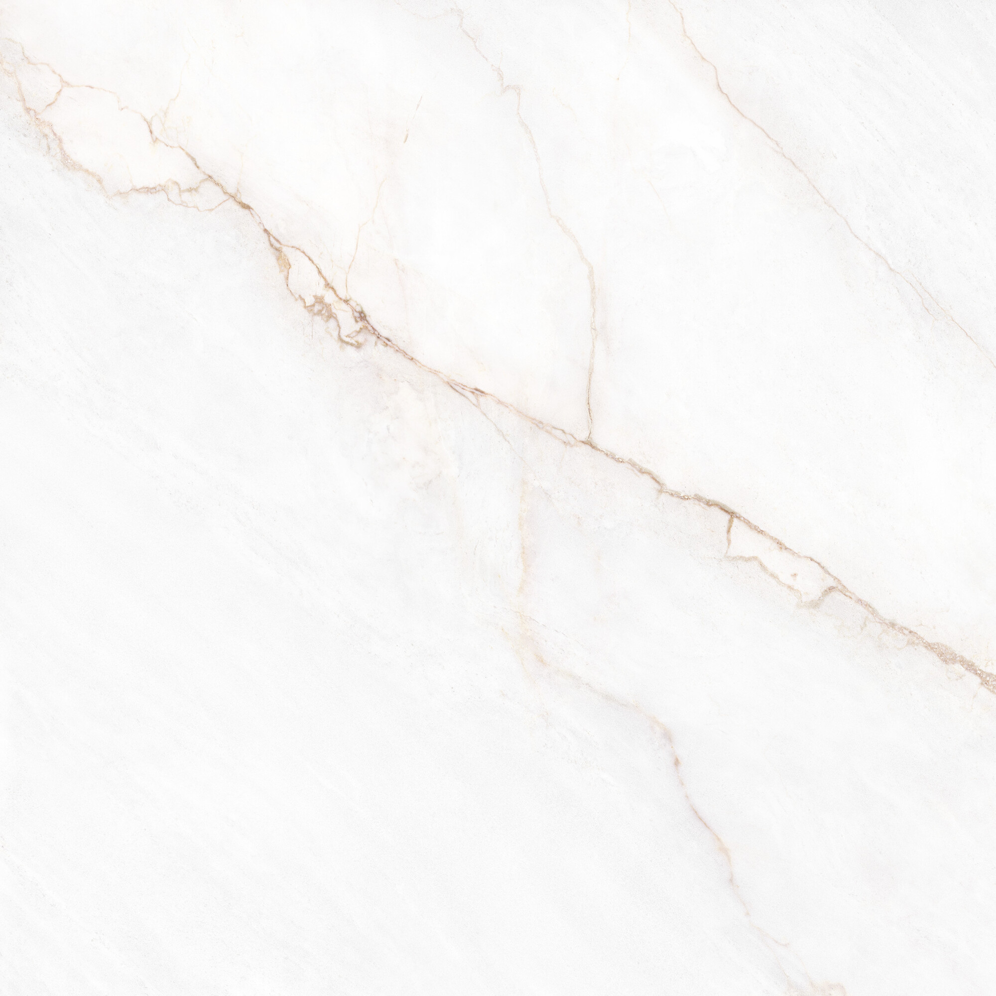 41431 Dahlia White SP/100X100X0,8/R 100x100 Peronda