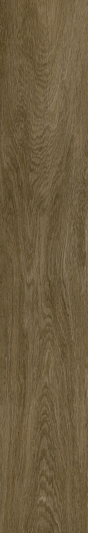 610010003504 Ducale Pepper Ret 20х120 ColiseumGres