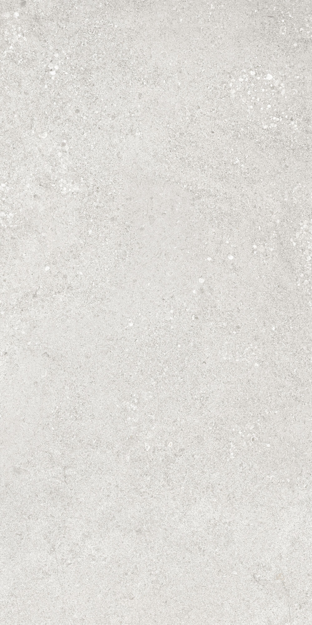 36904 Cluny Silver 4D/50X100X2/A/R 50x100 Peronda фото 6