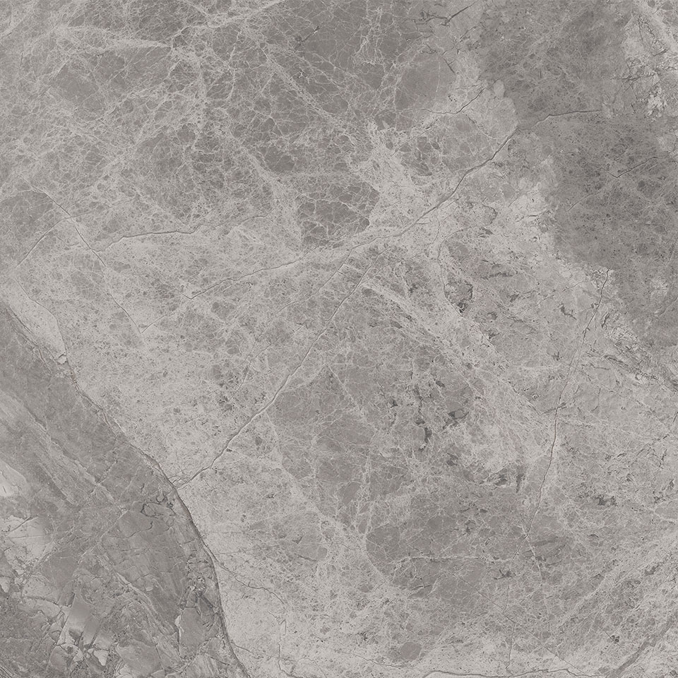 75390 Supreme Silver Ret 60x60 Cerdomus фото 10