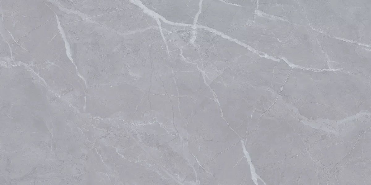 Clovia Gris Glossy 60x120 Art Ceramic