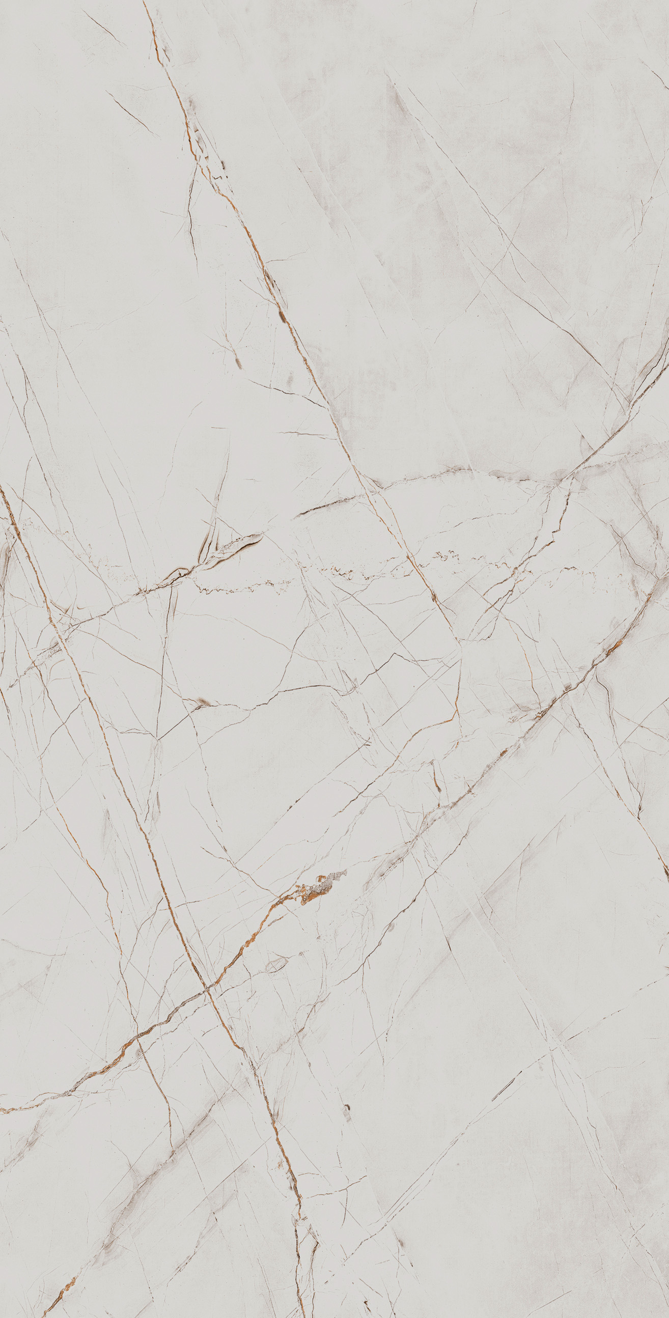 CR4027-A Valencia Silver Grey Carving 60x120 Arcadia Ceramica