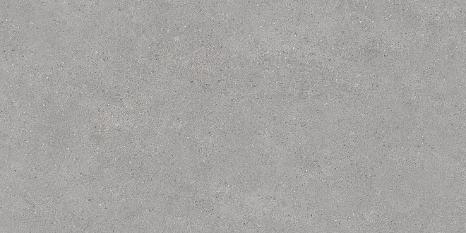 DL500820R Фондамента серый светлый обрезной 60х119,5 Kerama Marazzi