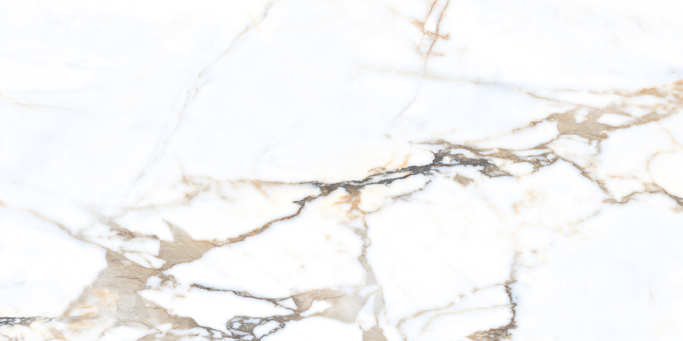 NTT99605M Camela Statuario 60x120 NT Ceramic