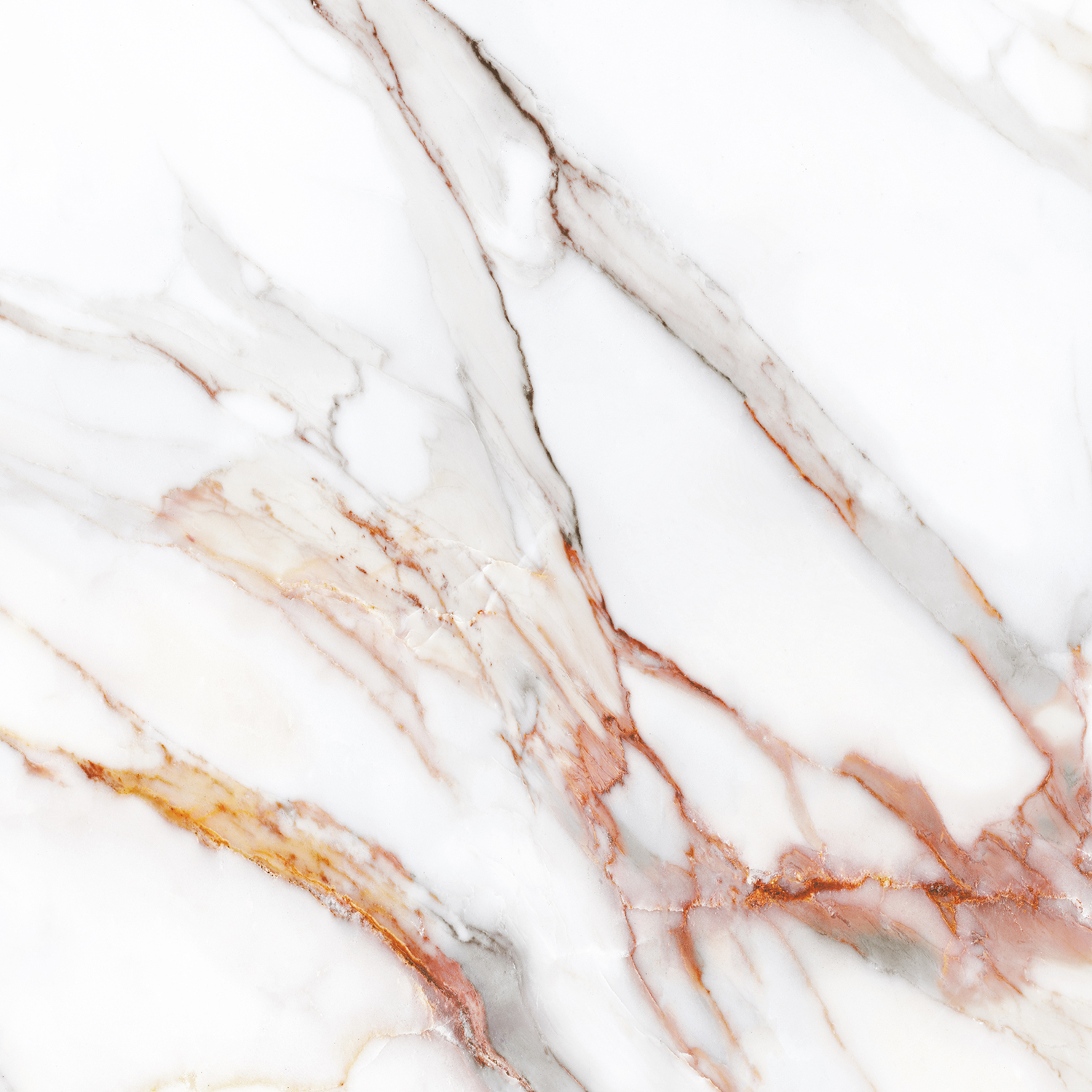 Beldia Bianco Elegance Polished 120х120 StaroSlabs