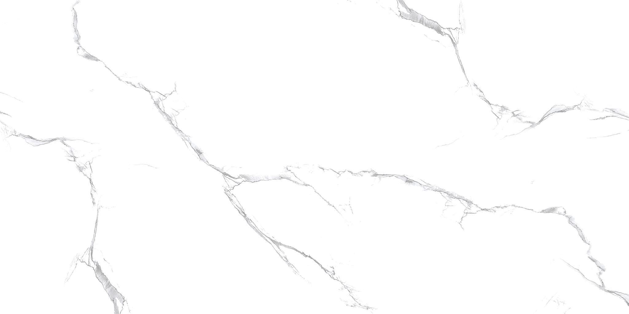 R_PR2003 Unico White Polished 60x120 Royce