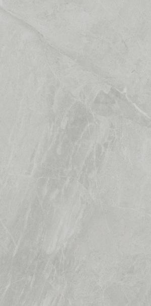 PL612498 Gris De Savoie Lucidato 60x120 Ariostea