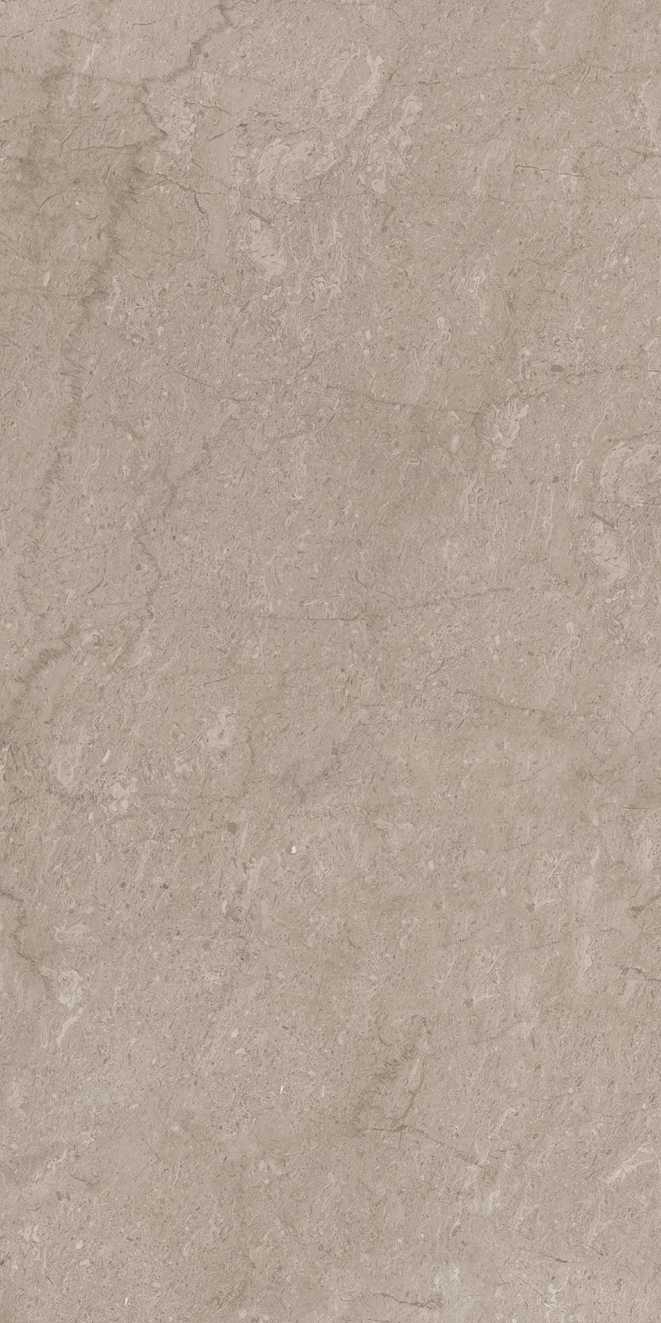 AEM02 Элемента Серый Неполированный Рект 60x120x9 Ametis by Estima фото 3