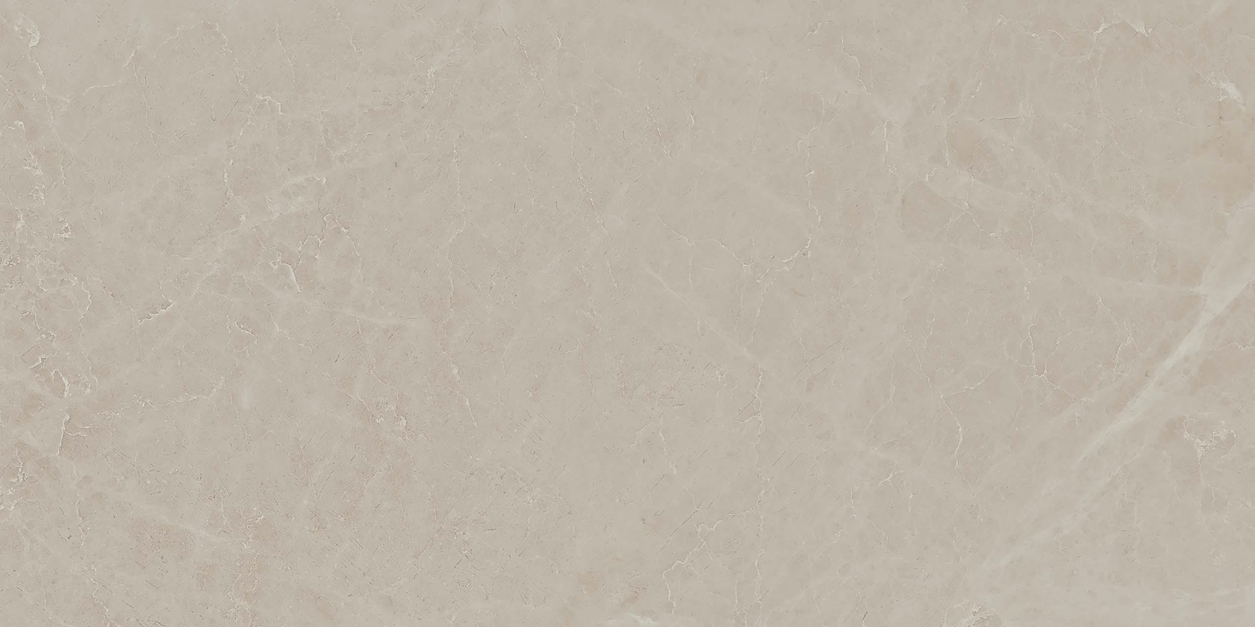 MOG202 Marble Grey полированный 60x120x9 Onlygres