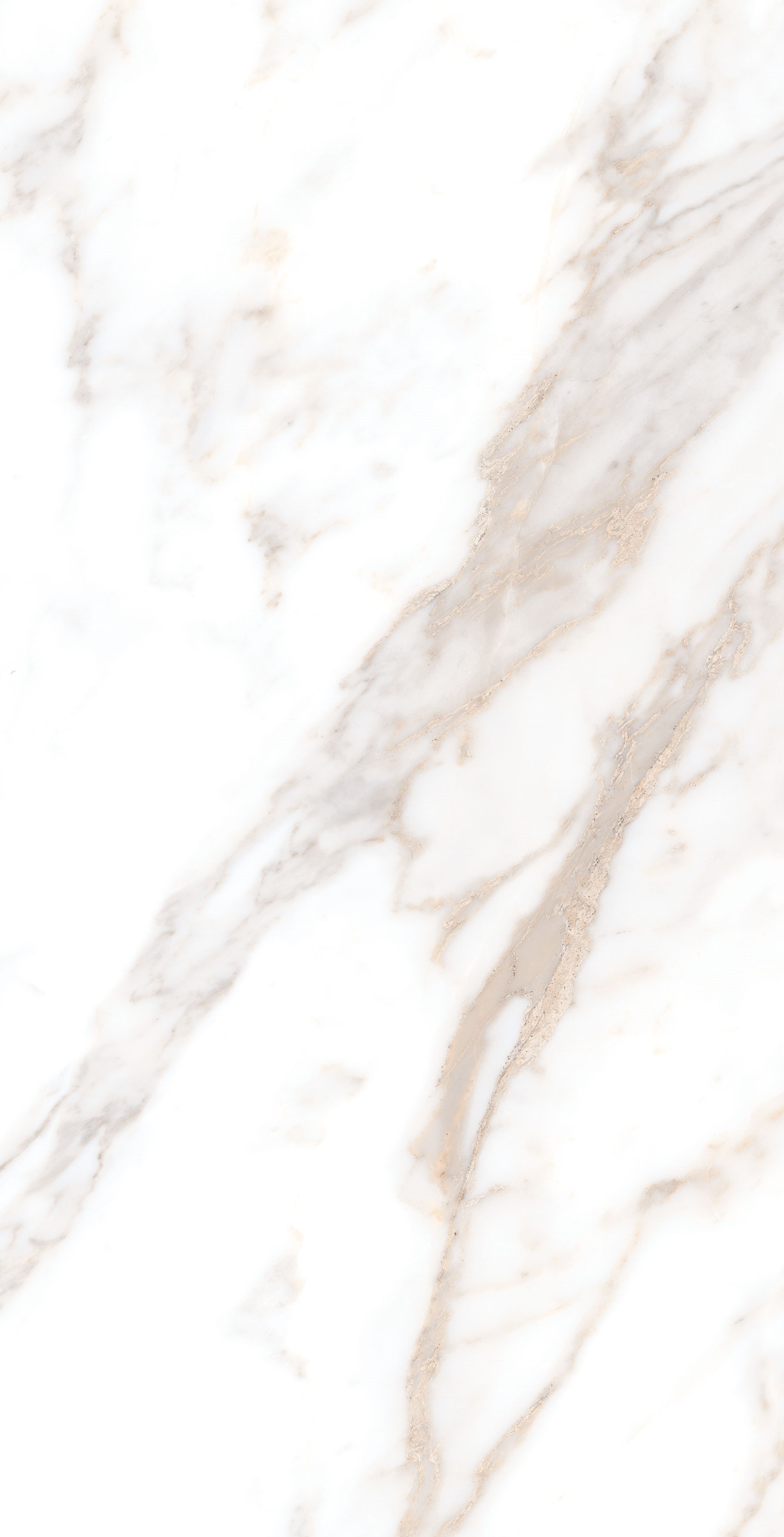 Calacatta Borghini Sugar 60х120 Gresant