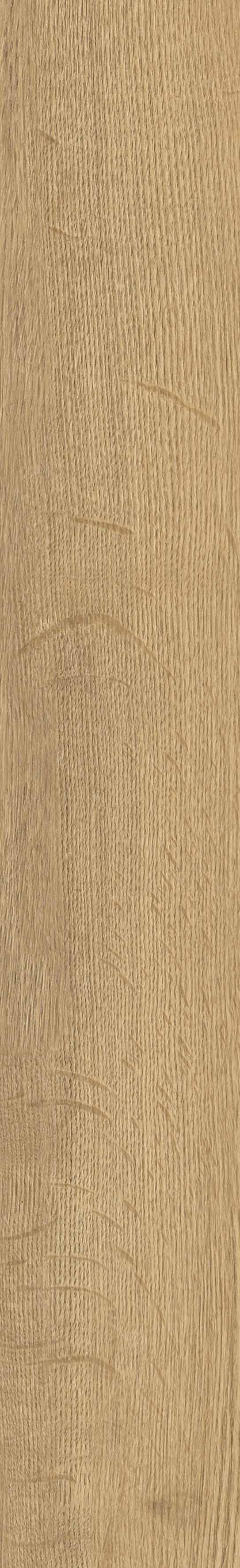 SGR29 Aurevia Gold 9.2x60 Stargres фото 28