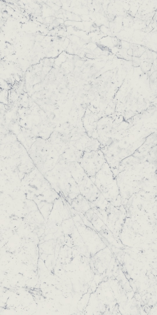 610010001194 Charme Extra Carrara Nat Ret 60x120 Italon