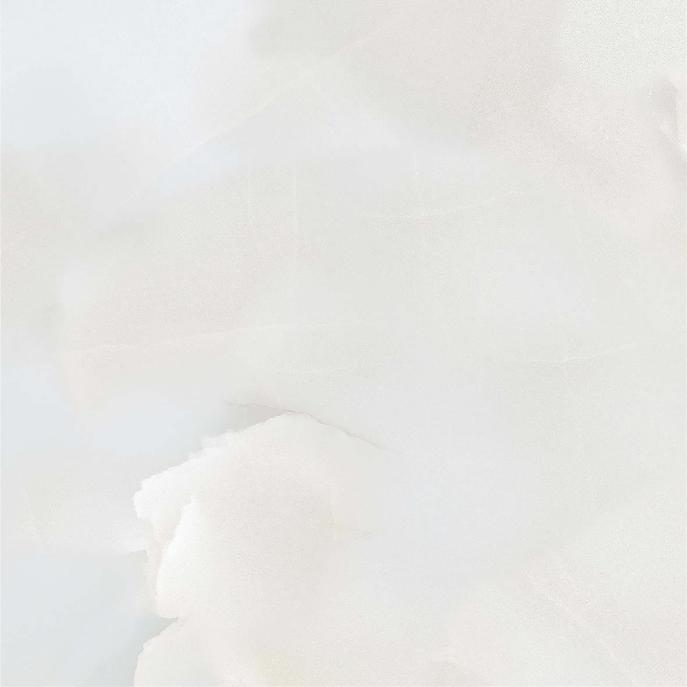 Grace Elara Glossy 60x60 Leman Tile фото 7