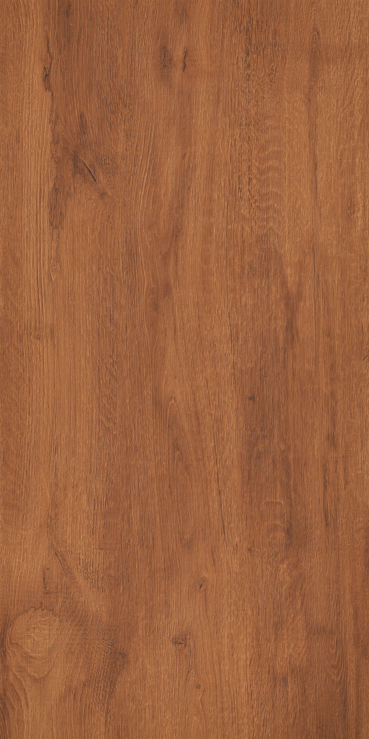 Kiel Brown Matt 60x120 Realistik