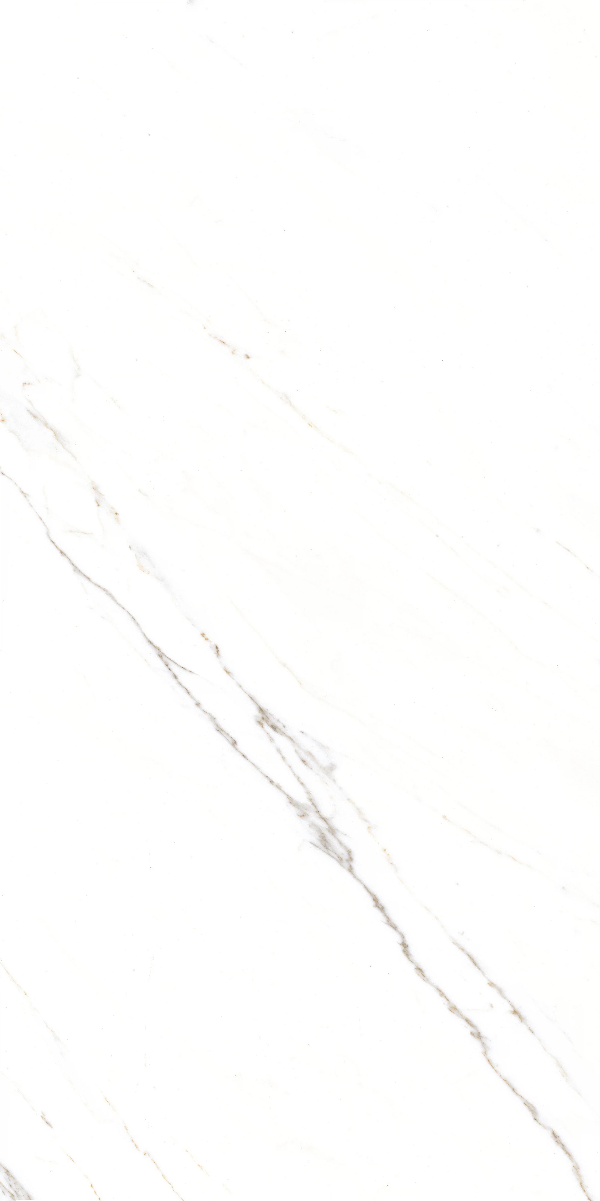 GT1206015103PR Corus Белый полированный 60x120 Global Tile