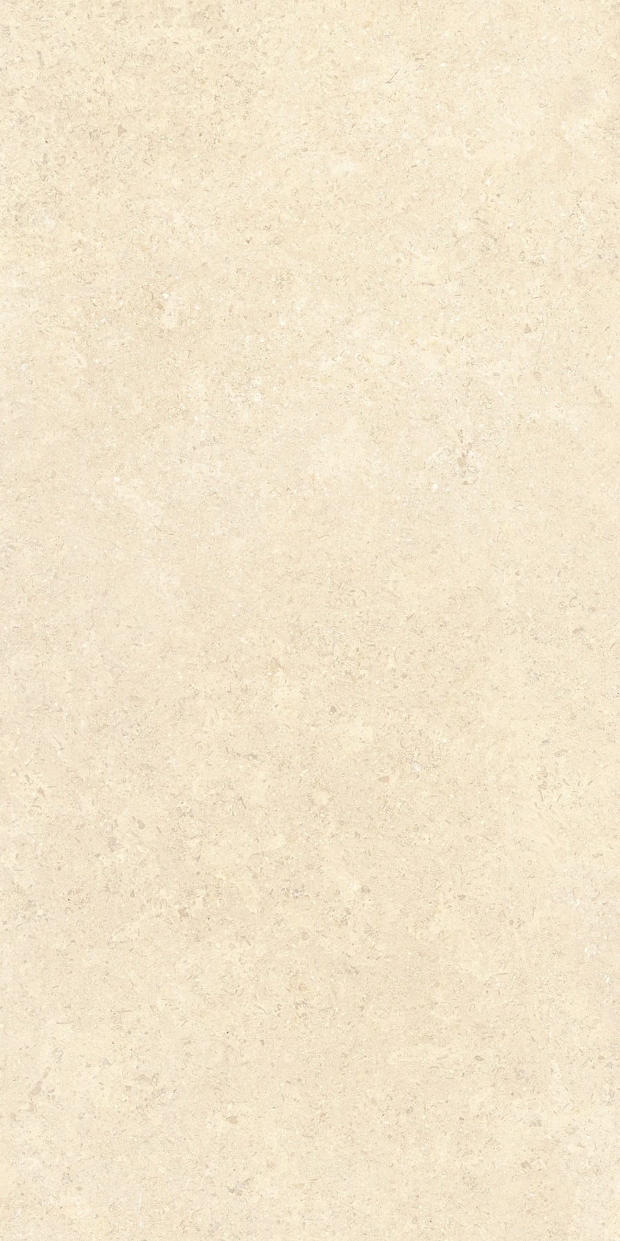 K948598R0001VTER SandStone Песочный Матовый R10A Ректификат 60х120 Vitra
