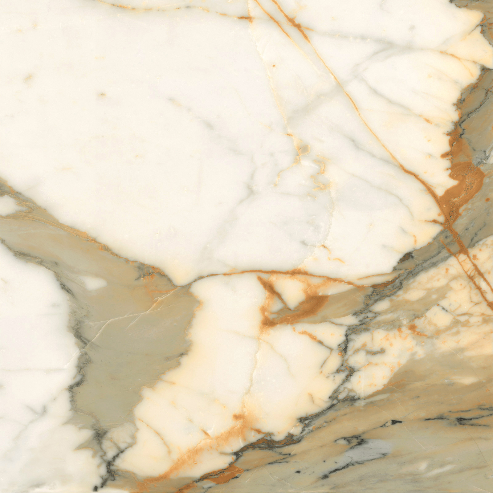6060CBO55P Calacatta Borghini 60x60 LCM