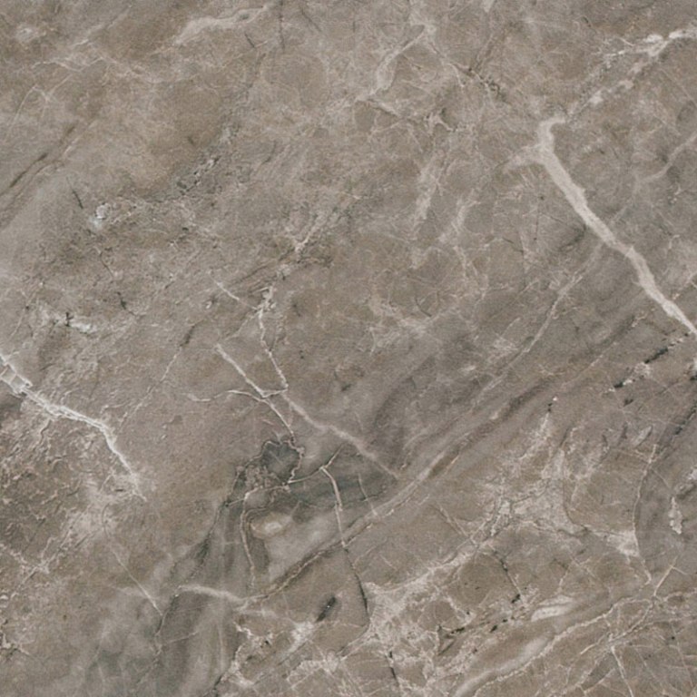 240016 MARBLE GRIGIO ONICE RETTIFICATO LAPPATO 58,5x58,5 Versace (Gardenia Orchidea)
