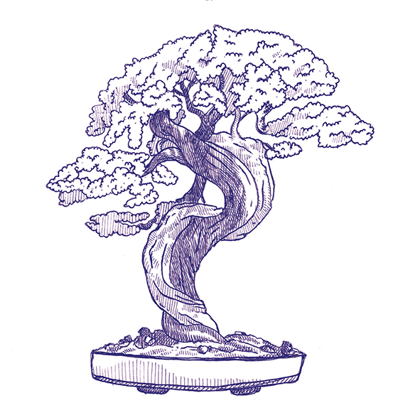 4101303 Stories Eddie Matte 10x10 41ZERO42 фото 41