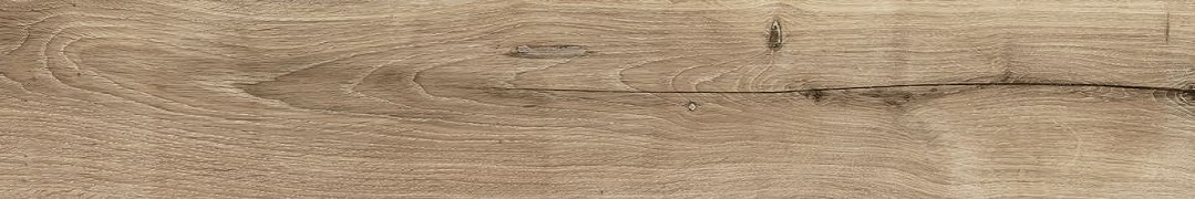 WD110 Old Wood Walnut 20x120 PrimaVera