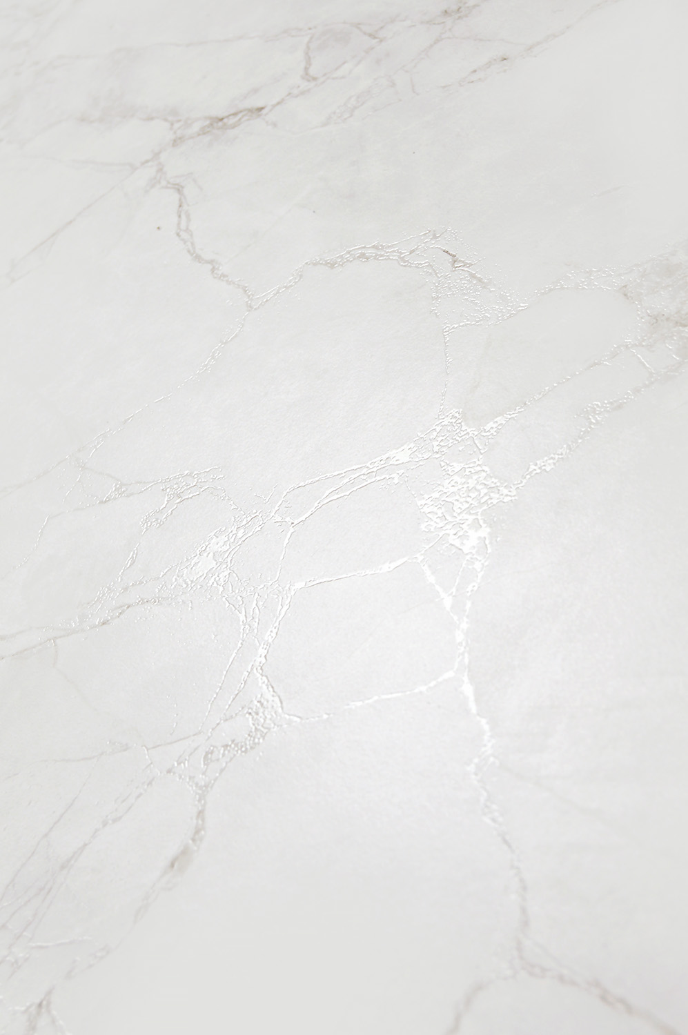 Arctic Arcadia Ceramica