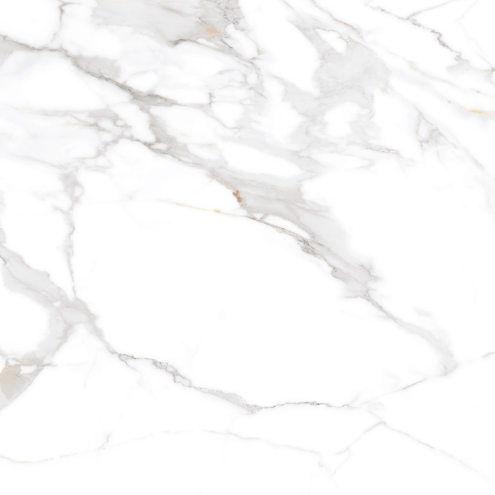 ETMAR1211MT6060 Calacatta Elite Matt 60x60 Eternal