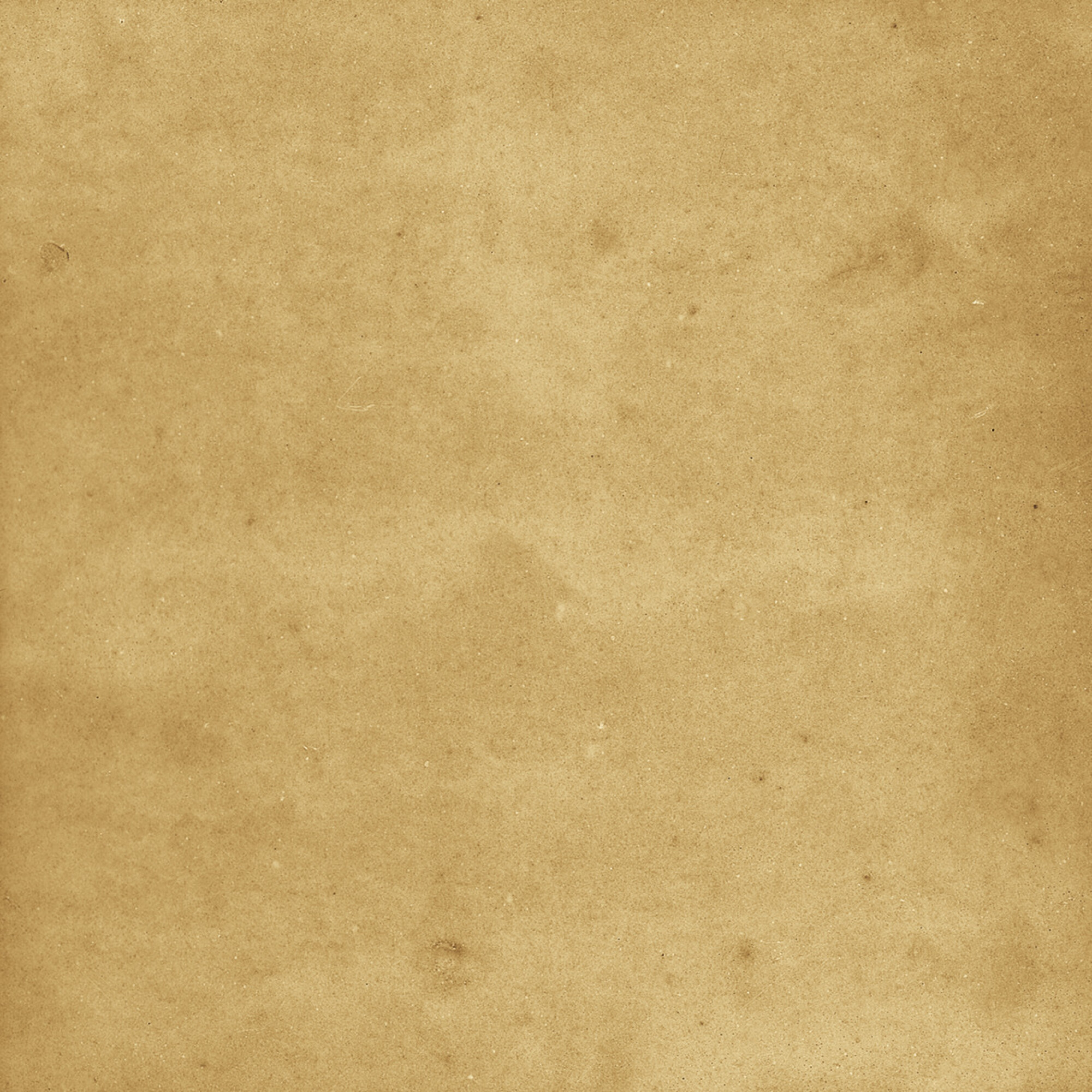 43288 Samira Gold 10x10 Harmony фото 39
