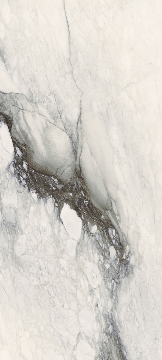 761723 Etoile Renoir Mat Ret 120x280 Rex Ceramiche