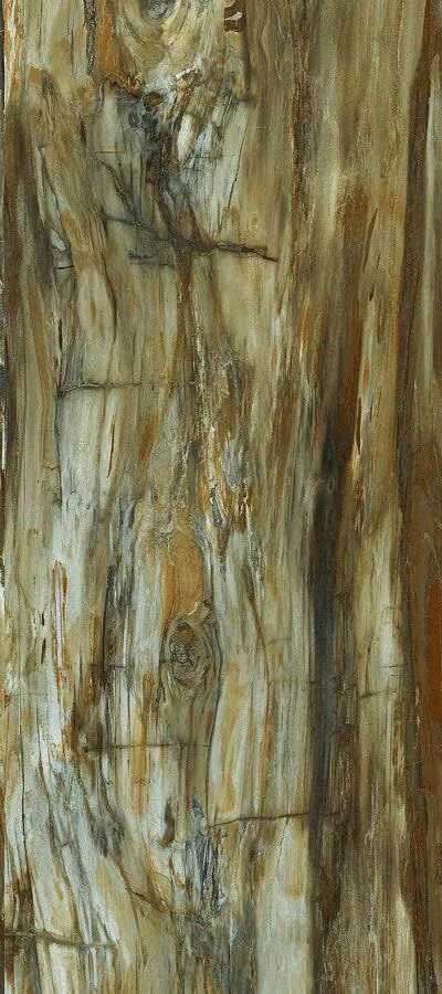 Arty Brown High gloss 60*120 Art Ceramic