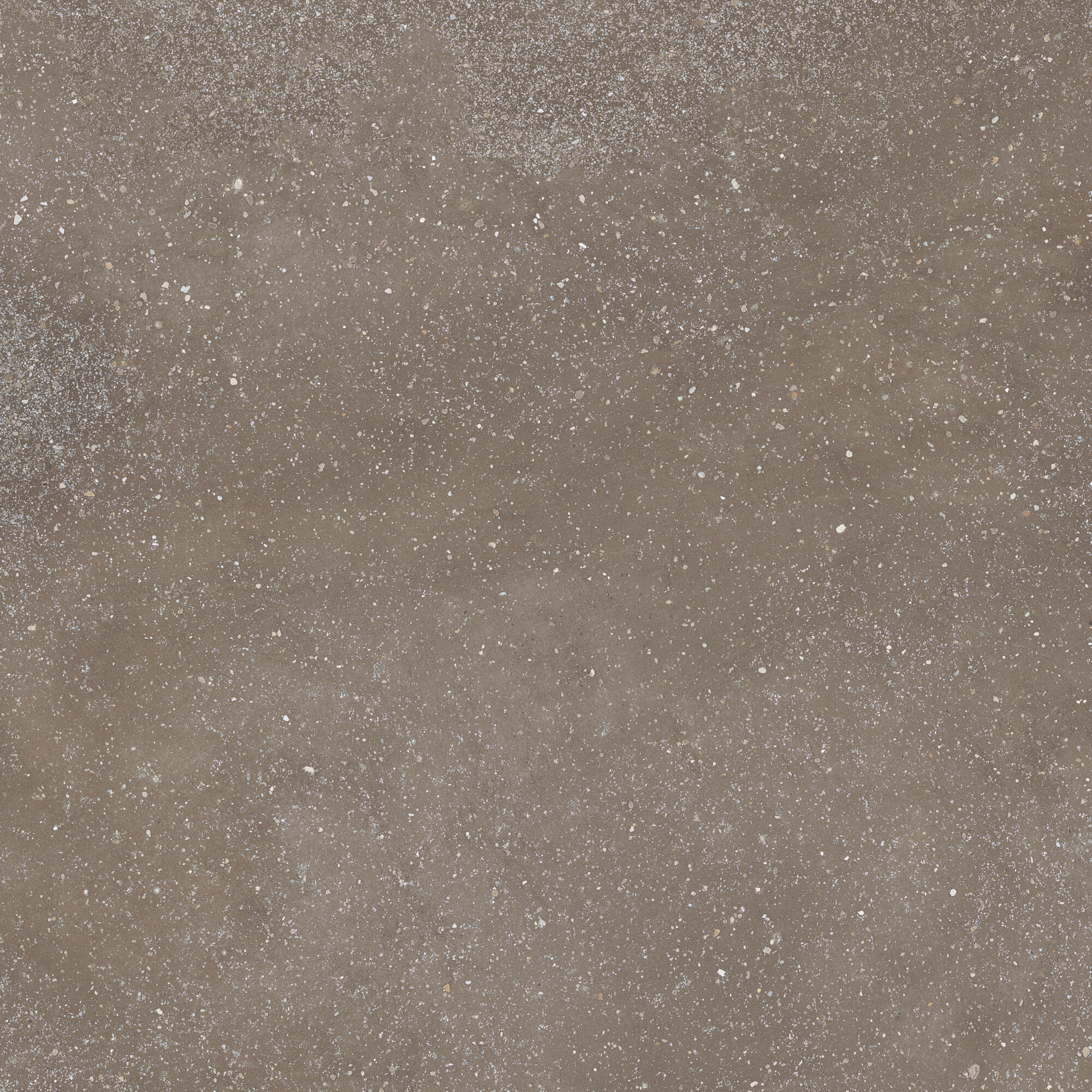 42811 Cosmos Chocolate SP/90X90X0,9/C/R 90x90 Harmony фото 3
