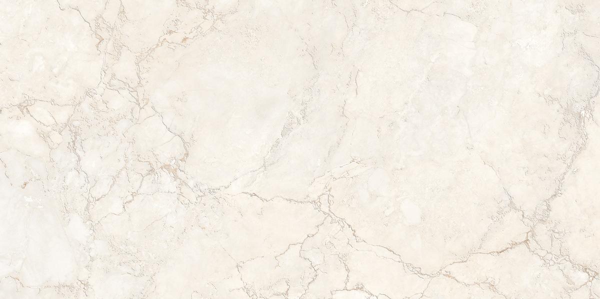 N120041 Трентино Аллюр Декор Матовая 60x120 Neodom фото 2