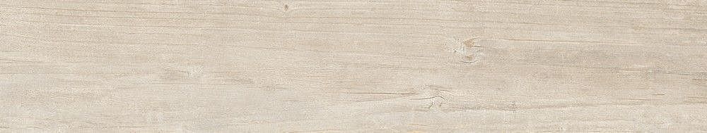189003 Quercus Betulla 22x120 Dune