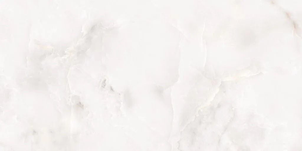 N20577 Classo Onyx Polished 60x120 Neodom