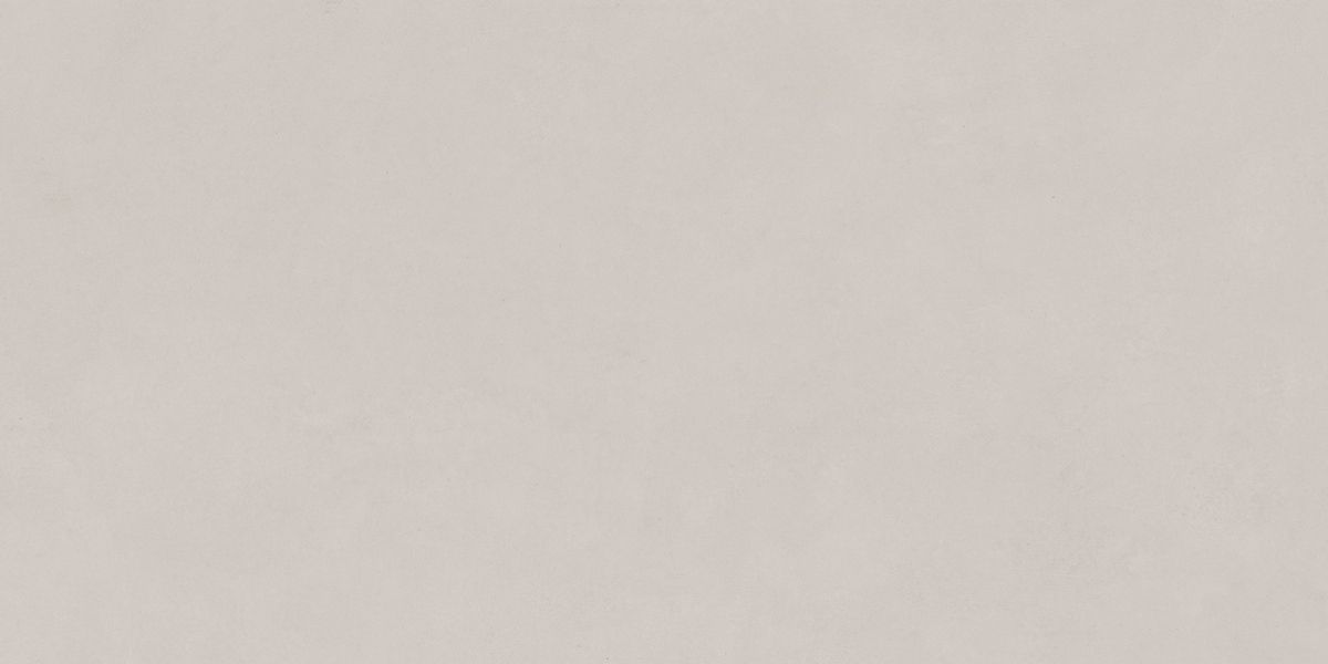 N12036 Blossom Pebble Matt 60x120 Neodom