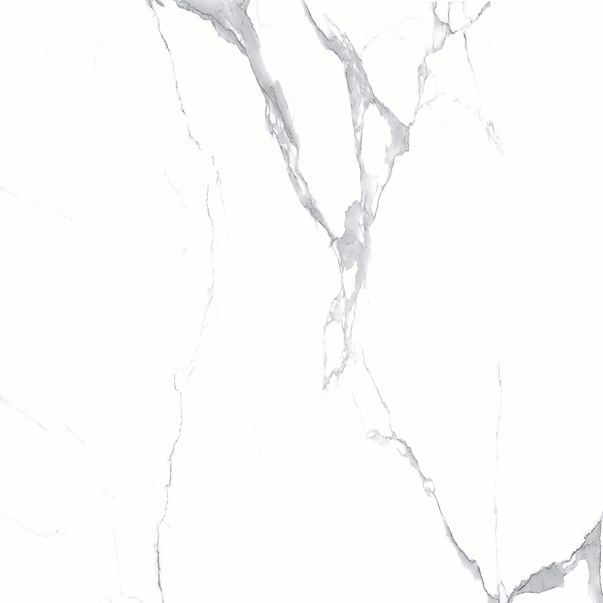 Megnus Statuario Glossy 60x60 Modern Tile